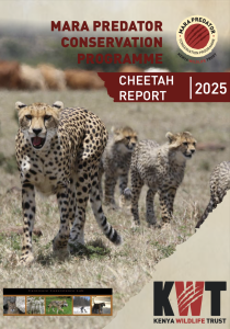 thumbnail of Management report